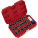 21pc Locking Wheel Nut Key Set - DEALERS & REPAIR CENTRES ONLY - For BMW Loops