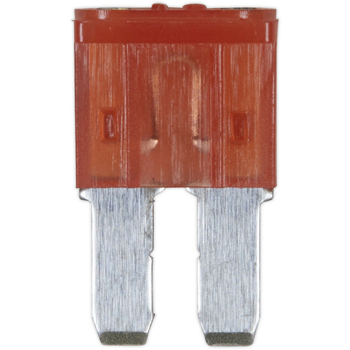 50 PACK 10A Automotive Micro 2 Blade Fuse Pack - 2 Prong Vehicle Circuit Fuses Loops