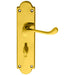Door Handle & Bathroom Lock Pack Brass Victorian Scroll Ornate Backplate Loops