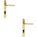 2x Straight Lever Door Handle on Lock Backplate Polished Brass 208mm X 25mm Loops