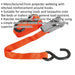 25mm x 4.5m 800KG Ratchet Tie Down Straps Set - Polyester Webbing & Steel S Hook Loops