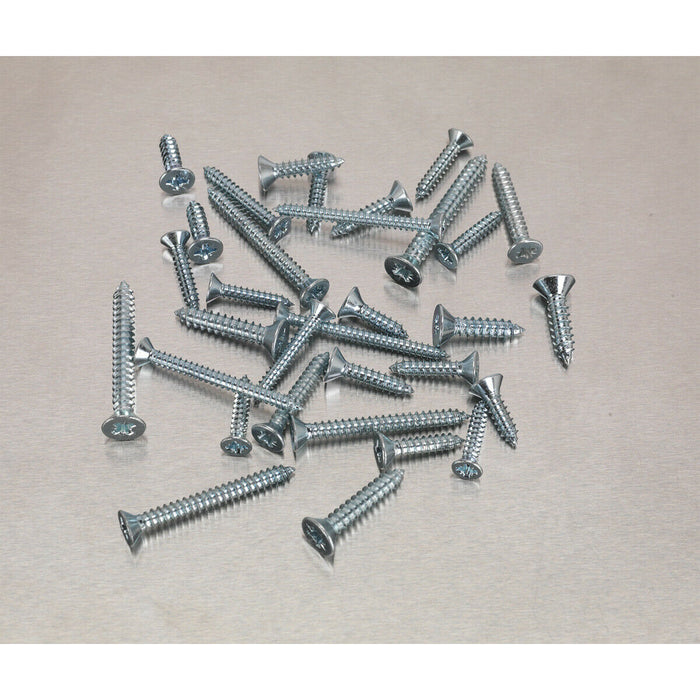 600 PACK Self Tapping Screw Assortment - Countersunk Pozi - Various Sizes Loops