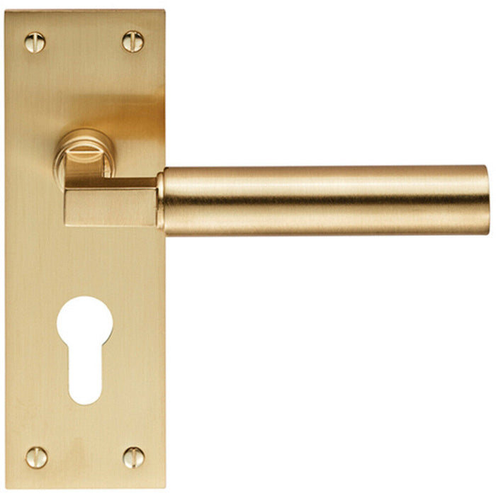 PAIR Round Bar Handle on Slim Euro Lock Backplate 150 x 50mm Satin Brass Loops