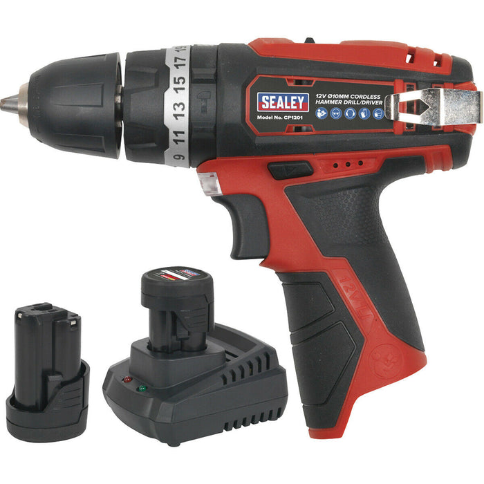 Cordless Hammer Drill Driver Kit - 12V 1.5Ah Lithium-ion Battery - 10mm Chuck Loops