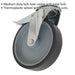 100mm Thermoplastic Castor Wheel - Bolt Hole Swivel - 27mm Tread - Total Lock Loops