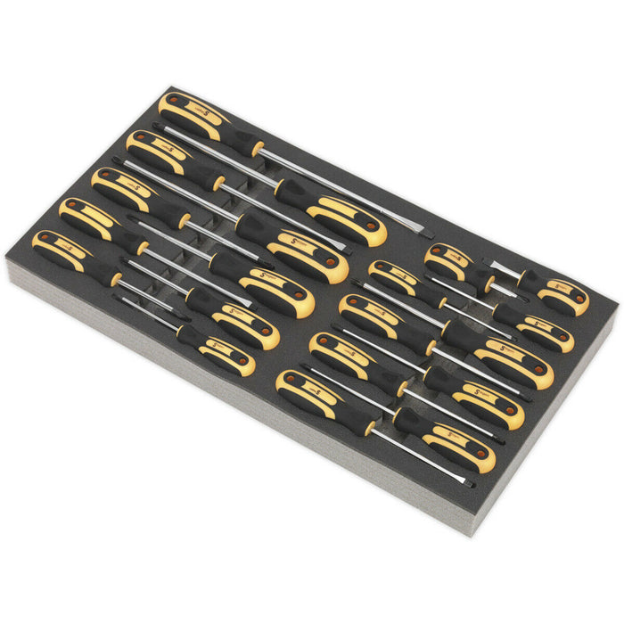 20 Piece Screwdriver Set with Tool Tray - Tool Box Tray Tidy Storage Chest Loops