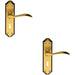 2x PAIR Curved Door Handle Lever on Lock Backplate 180 x 45mm Florentine Bronze Loops