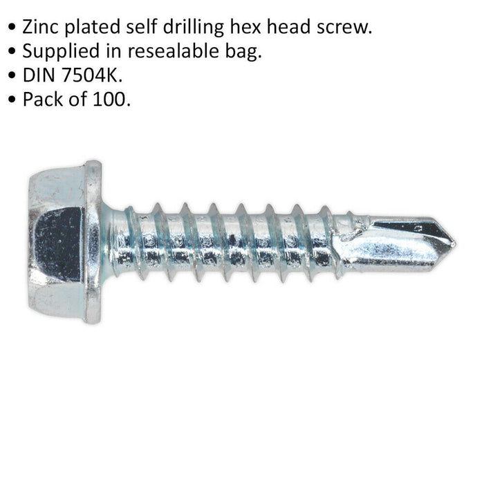 100 PACK 4.2 x 19mm Self Drilling Hex Head Screw - Zinc Plated Fixings Screw Loops