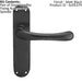 PAIR Smooth Rounded Handle on Shaped Latch Backplate 185 x 42mm Matt Black Loops