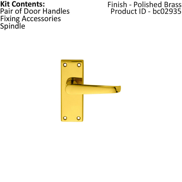 PAIR Straight Handle on Short Latch Backplate 118 x 42mm Polished Brass Loops