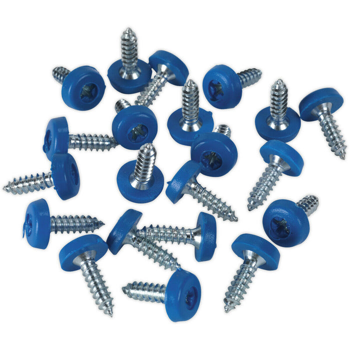 50 PACK 4.8 x 18mm Blue Numberplate Screw - Plastic Enclosed Head Fixings Loops