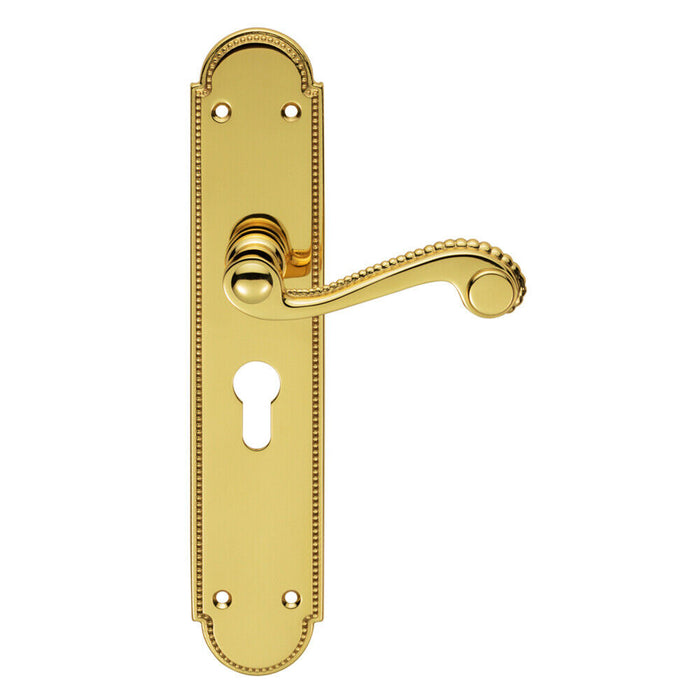 PAIR Beaded Pattern Handle on Euro Lock Backplate 249 x 50mm Polished Brass Loops
