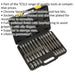 30pc Hex Key Socket Bit Set - 1/2" Square Drive - 5mm to 14mm - 200mm Long Shaft Loops