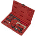 Diesel Petrol Engine Timing Tool Service Kit - For VAG & Ford Belt/Chain Drive Loops