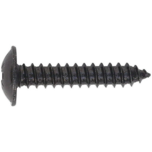 100 PACK 4.8 x 25mm Self Tapping Black Screw - Flanged Pozi Head - Fixings Screw Loops