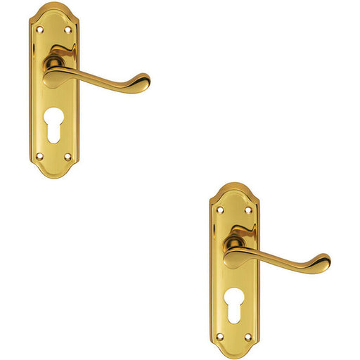 2x PAIR Victorian Upturned Lever on Euro Lock Backplate 168 x 47mm Brass Loops