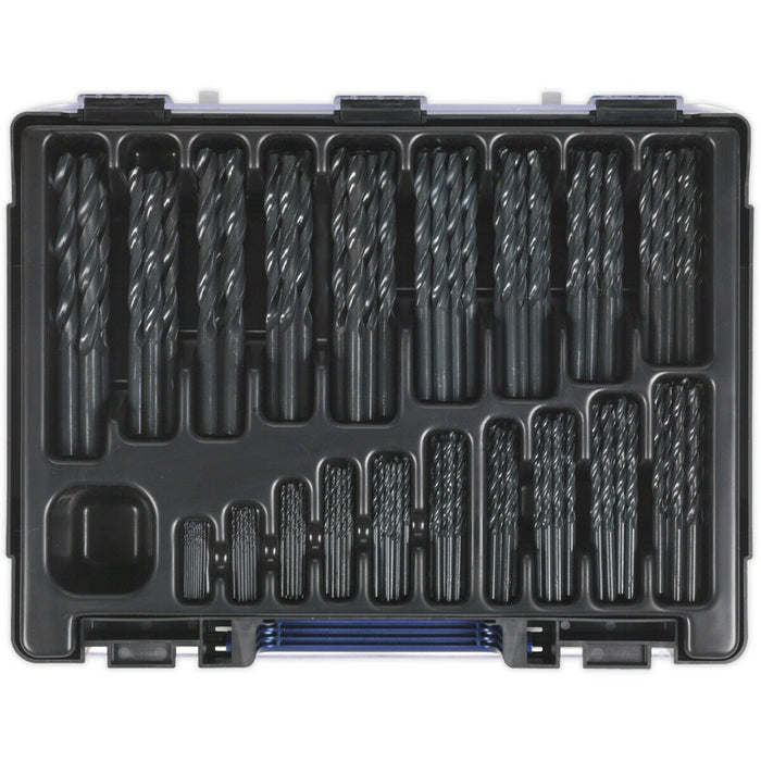 170 Piece Roll Forged HSS Drill Bit Assortment - 1mm to 10mm - DIN 338 Loops