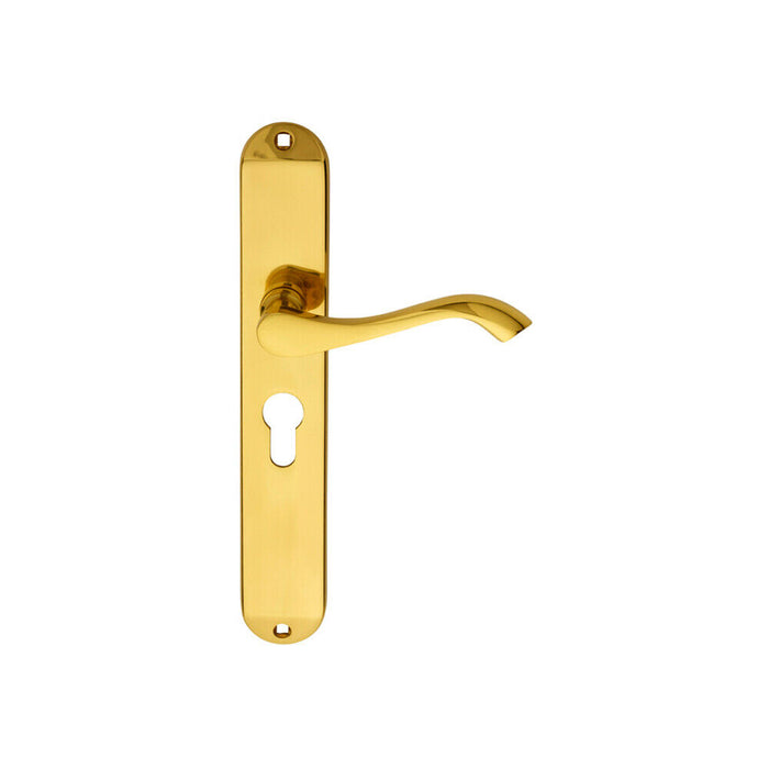 4x PAIR Curved Lever on Long Slim Euro Lock Backplate 241 x 40mm Polished Brass Loops