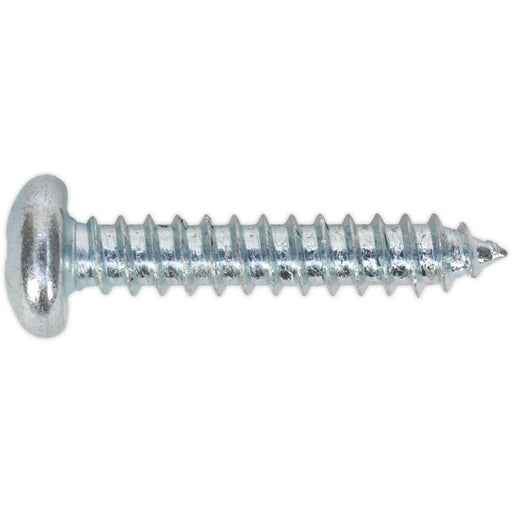 100 PACK 6.3 x 38mm Self Tapping Pan Head Screw - Pozi Head - Fixings Screw Loops