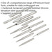 12 Piece PREMIUM Punch & Chisel Set - Hardened & Tempered - Chromed Steel Loops