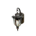 Outdoor IP44 Wall Light Weathered Bronze LED E27 100W d02503 Loops