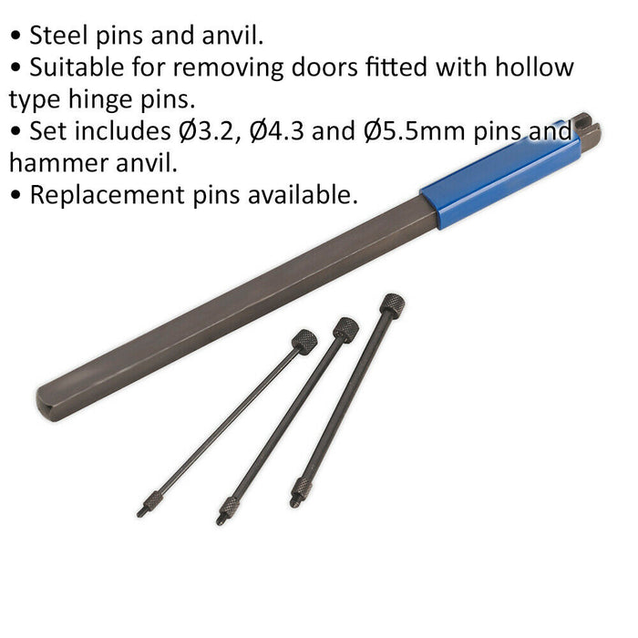 4 PIECE Door Pin Extractor Tool Set - Steel Pins & Anvil - Hollow Hinge Removal Loops