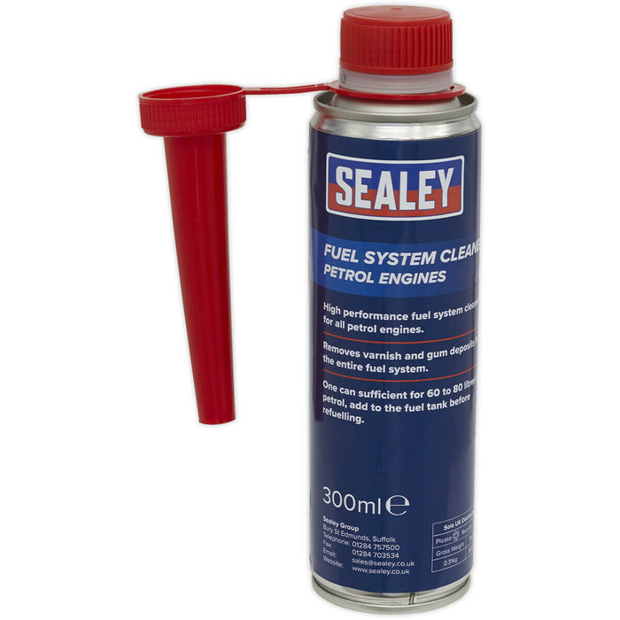300ml Fuel System Cleaner - Prevents Oxidation of Fuel - For Petrol Engines Loops