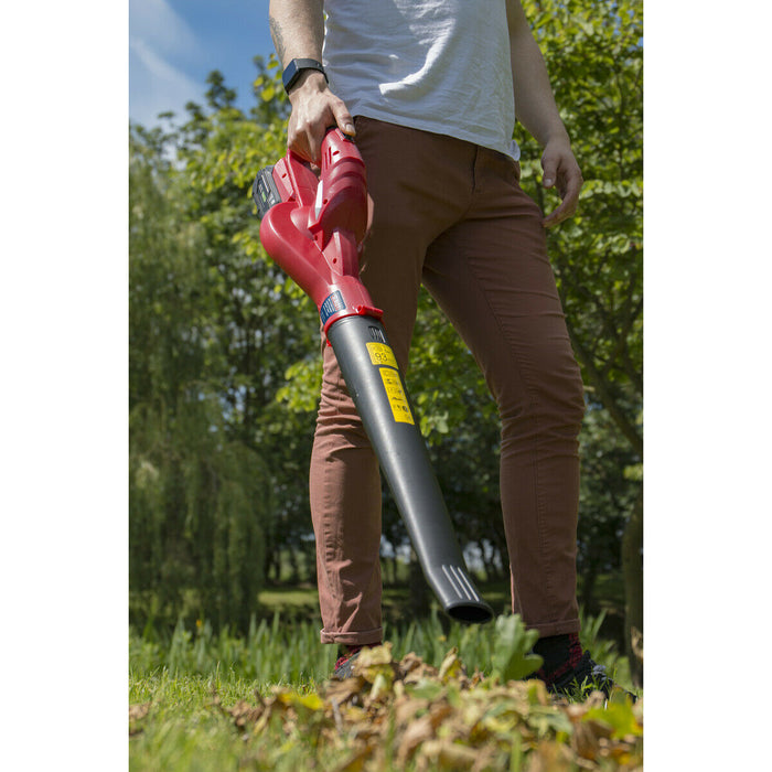 20V Lightweight Cordless Leaf Blower - BODY ONLY - DIY Gardening Leaf Blower Loops