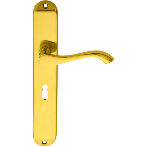 PAIR Curved Handle on Long Slim Lock Backplate 241 x 40mm Polished Brass Loops