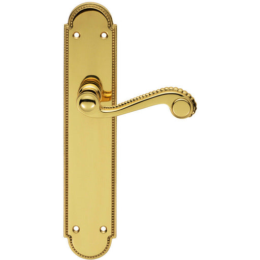 PAIR Beaded Pattern Handle on Latch Backplate 249 x 50mm Polished Brass Loops