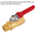 Lever Style Ball Valve - 1/4" Male BSPT Inlet to 1/4" Female BSP - Air Valve Loops