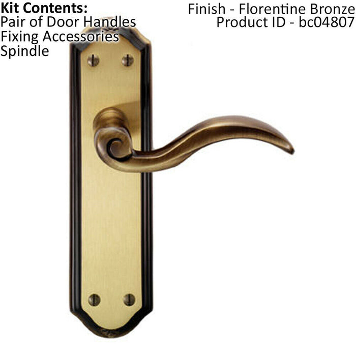 PAIR Spiral Sculpted Handle on Latch Backplate 180 x 48mm Florentine Bronze Loops