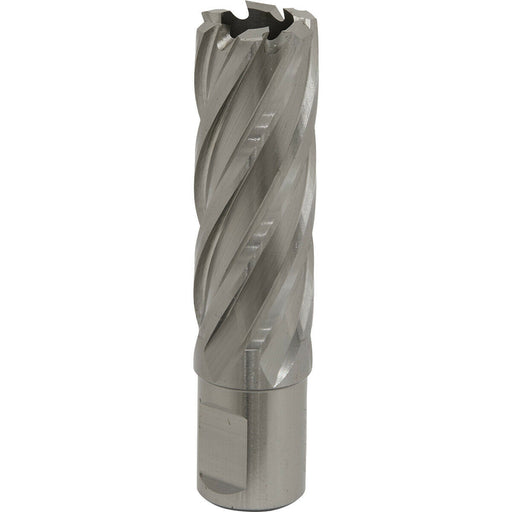 21mm x 50mm Depth Rotabor Cutter - M2 Steel Annular Metal Core Drill 19mm Shank Loops