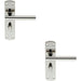 2x Mitred T Bar Lever on Bathroom Backplate Handle Thumbturn Lock Polished Steel Loops