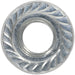 Pack of 50 Zinc Plated Serrated Flange Nut - 1.75mm Pitch - M12 - DIN 6923 Loops