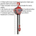 2 Tonne Chain Block - Hardened Alloy Chains - 3m Drop - Mechanical Load Brake Loops