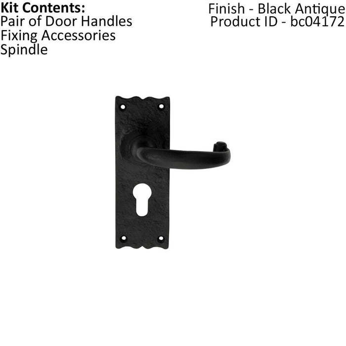 PAIR Forged Curved Lever Handle on Euro Lock Backplate 155 x 54mm Black Antique Loops