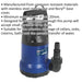 Submersible Clean Water Pump - 100L Per Minute - Corrosion Resistant - 230V Loops