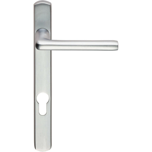 PAIR Straight Lever on Narrow Euro Lock Backplate 220 x 26mm Satin Chrome Loops