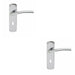 2x Rounded Curved Bar Handle on Lock Backplate 170 x 42mm Polished Chrome Loops