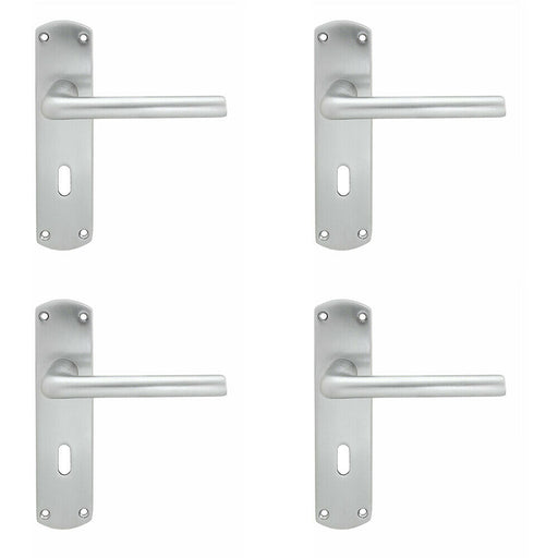 4x Rounded Straight Bar Handle on Lock Backplate 170 x 42mm Satin Chrome Loops