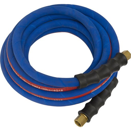 Extra Heavy Duty Air Hose with 1/4 Inch BSP Unions - 5 Metre Length - 10mm Bore Loops