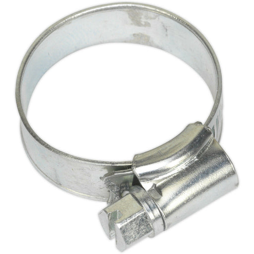 30 PACK Zinc Plated Hose Clip - 19 to 29mm Diameter - External Pressed Threads Loops