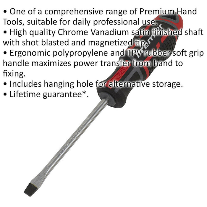 PREMIUM Slotted 6 x 100mm Screwdriver - Ergonomic Soft Grip - Magnetic Tip Loops