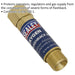 Oxygen Flash Back Arrestor - Auto Resetting - Flashback Protection - EN 730-1 Loops