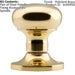 PAIR Mushroom Mortice Door Knob Unsprung 52mm Diameter Polished Brass Loops
