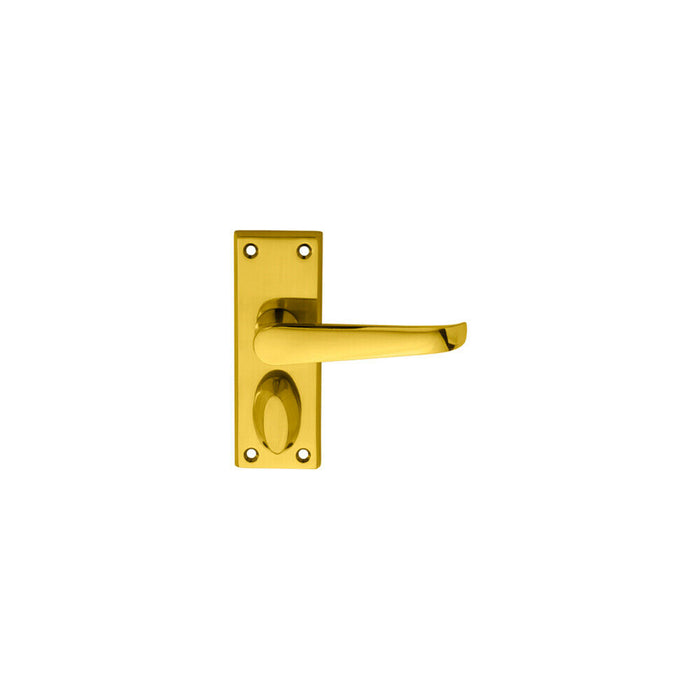 PAIR Straight Handle on Short Privacy Backplate 118 x 42mm Polished Brass Loops
