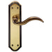 Door Handle & Latch Pack Florentine Bronze Spiral Lever Sculpted Backplate Loops