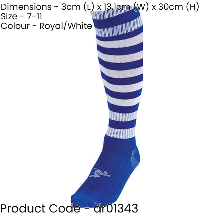 ADULT Size 7-11 Hooped Stripe Football Socks - ROYAL BLUE/WHITE Contoured Ankle