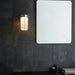 Brushed Silver Outdoor Wall Light & Frosted Glass Shade IP44 Rated 8W LED Module